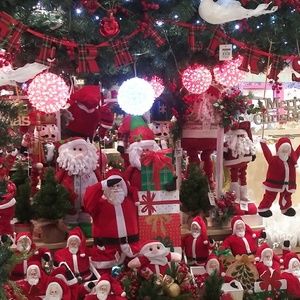 Meet your Posher, Bernadette